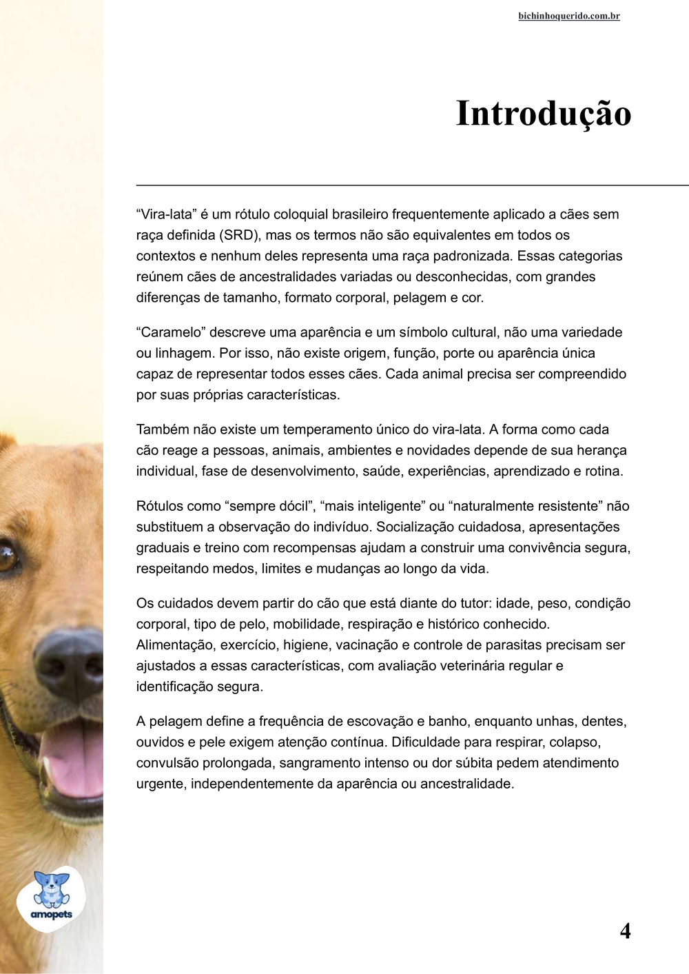 introdução do e-book Guia de Como Cuidar do Vira-lata