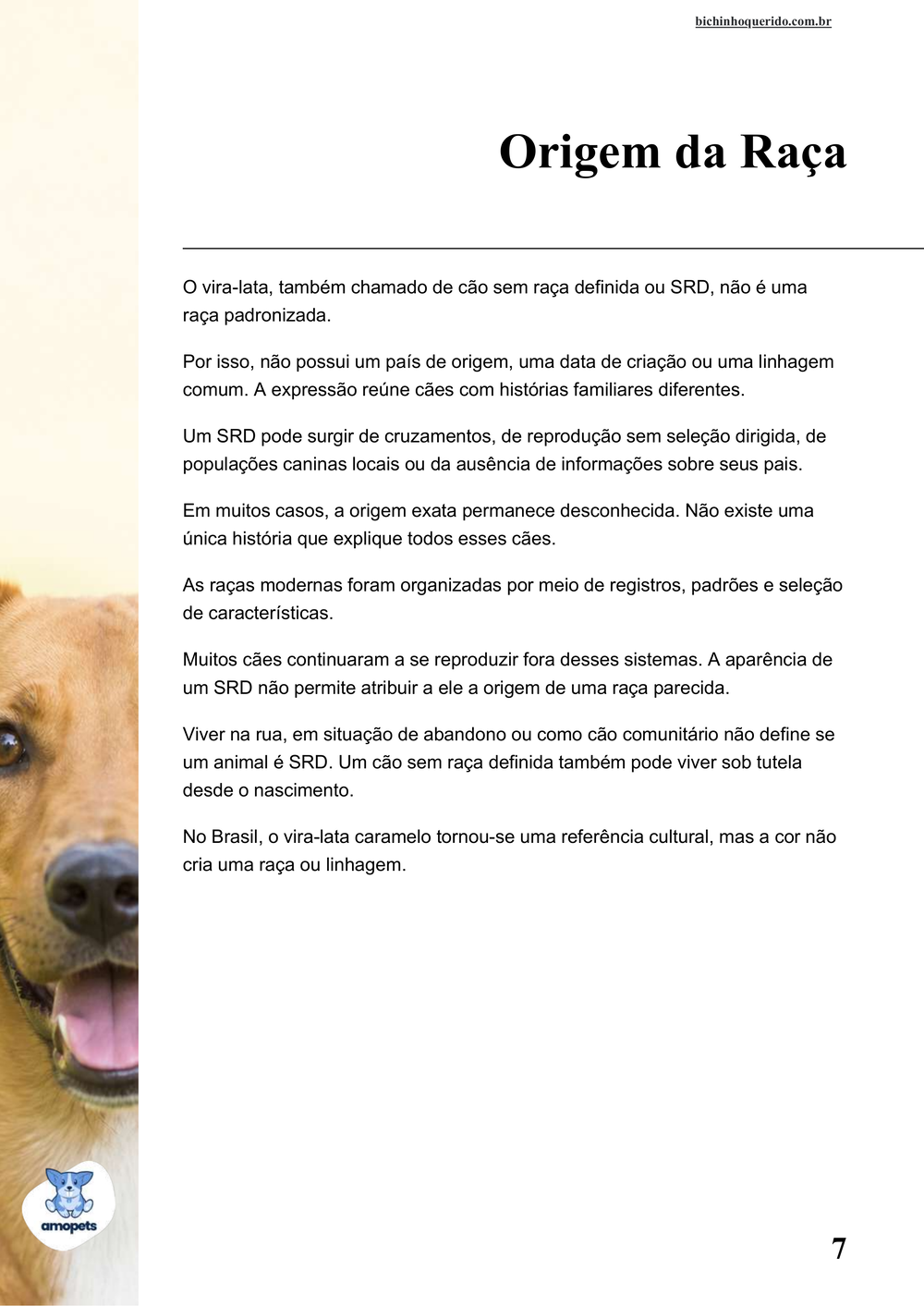 origem da raça no e-book Guia de Como Cuidar do Vira-lata