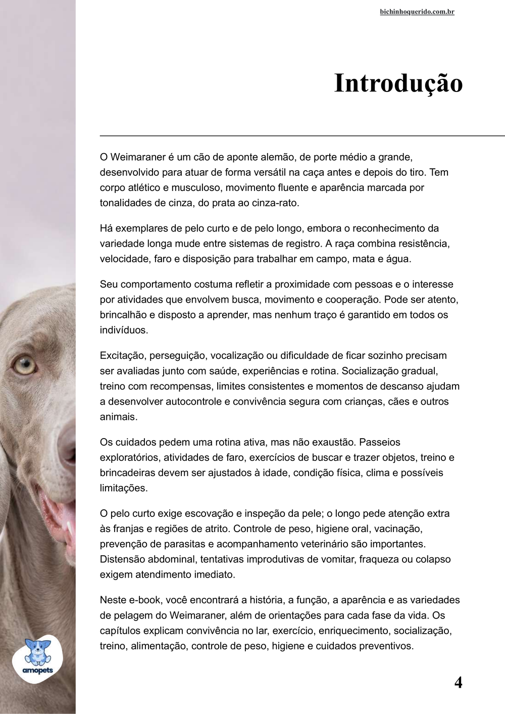 introdução do e-book Guia de Como Cuidar do Weimaraner