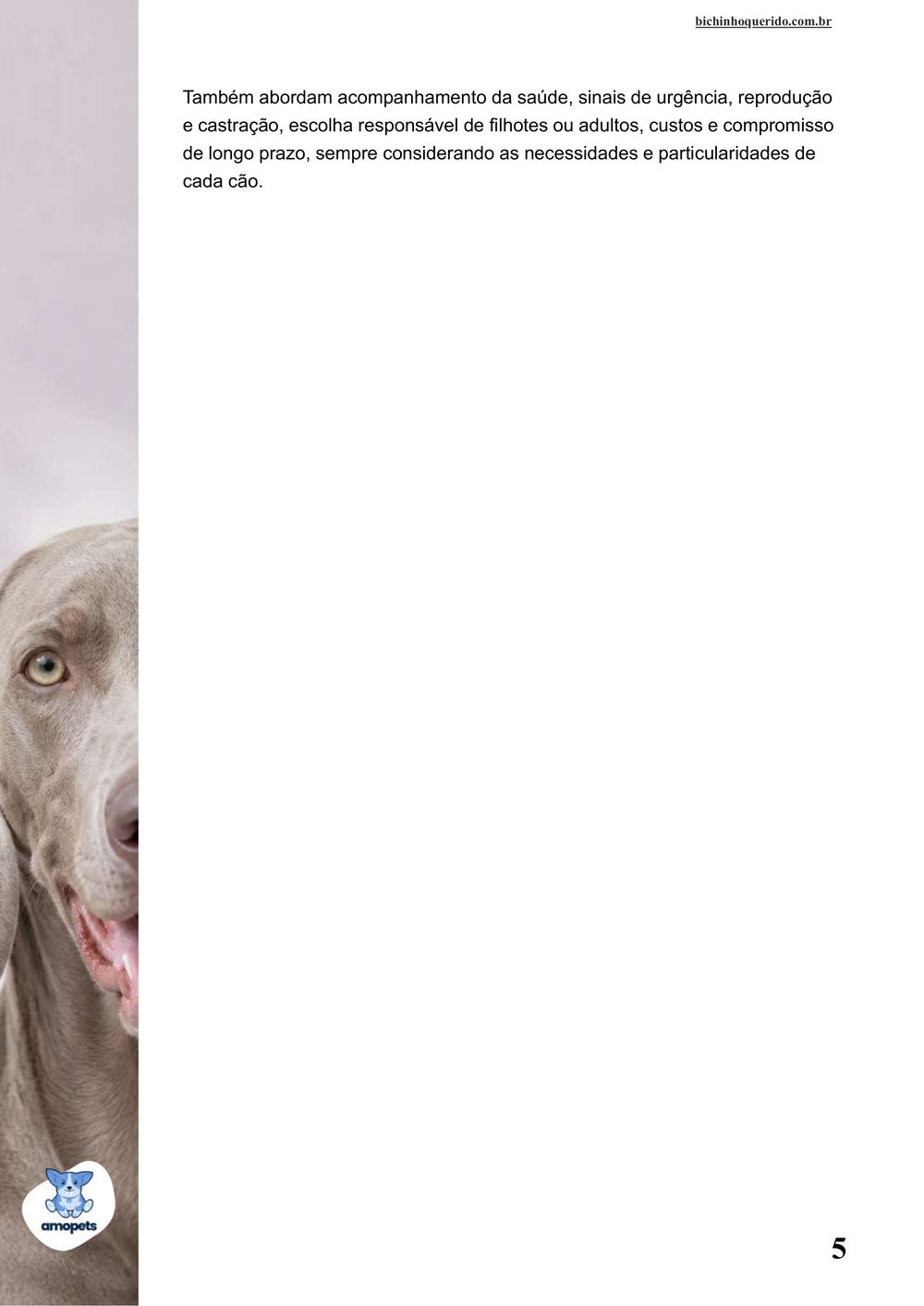continuação da introdução do e-book Guia de Como Cuidar do Weimaraner