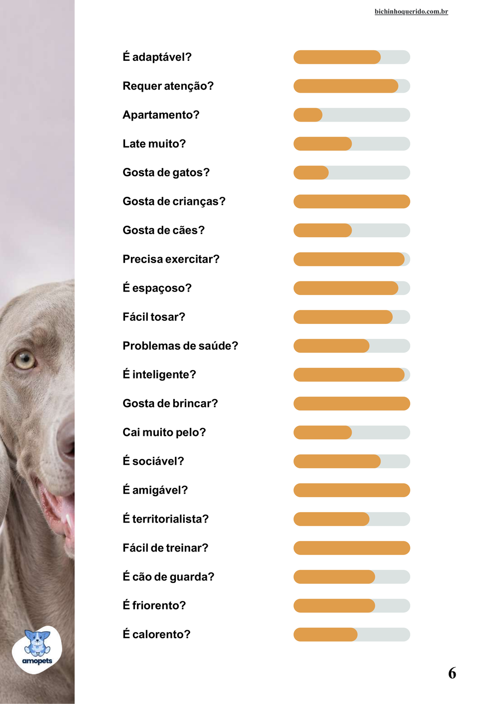 perfil da raça no e-book Guia de Como Cuidar do Weimaraner
