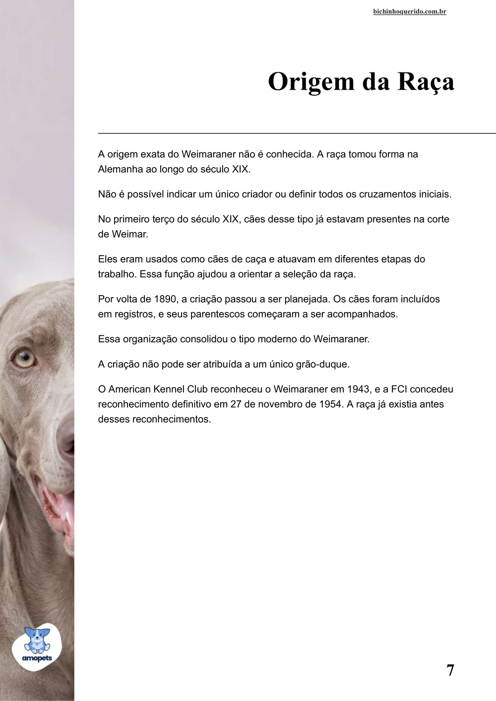 origem da raça no e-book Guia de Como Cuidar do Weimaraner