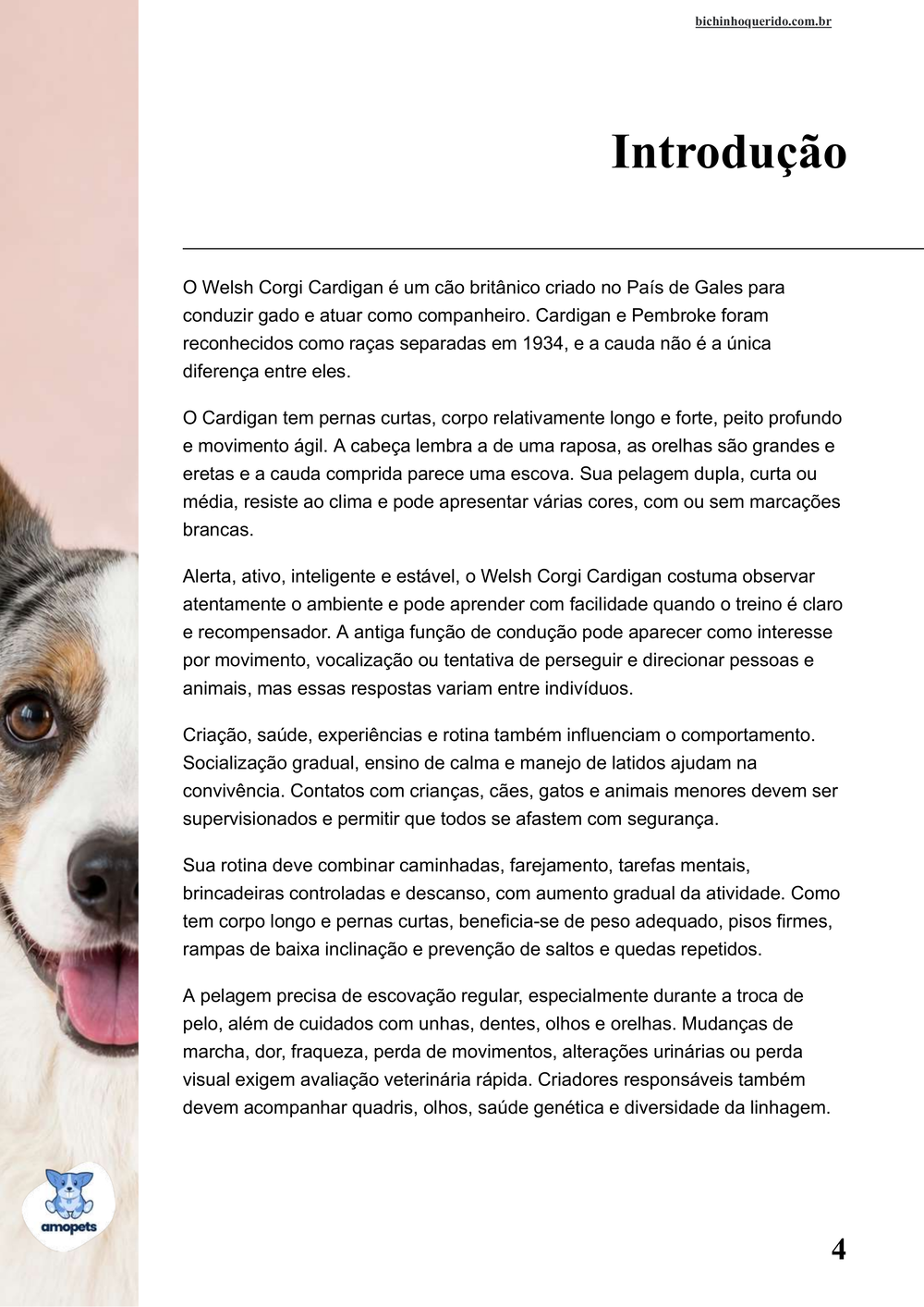 introdução do e-book Guia de Como Cuidar do Welsh Corgi Cardigan