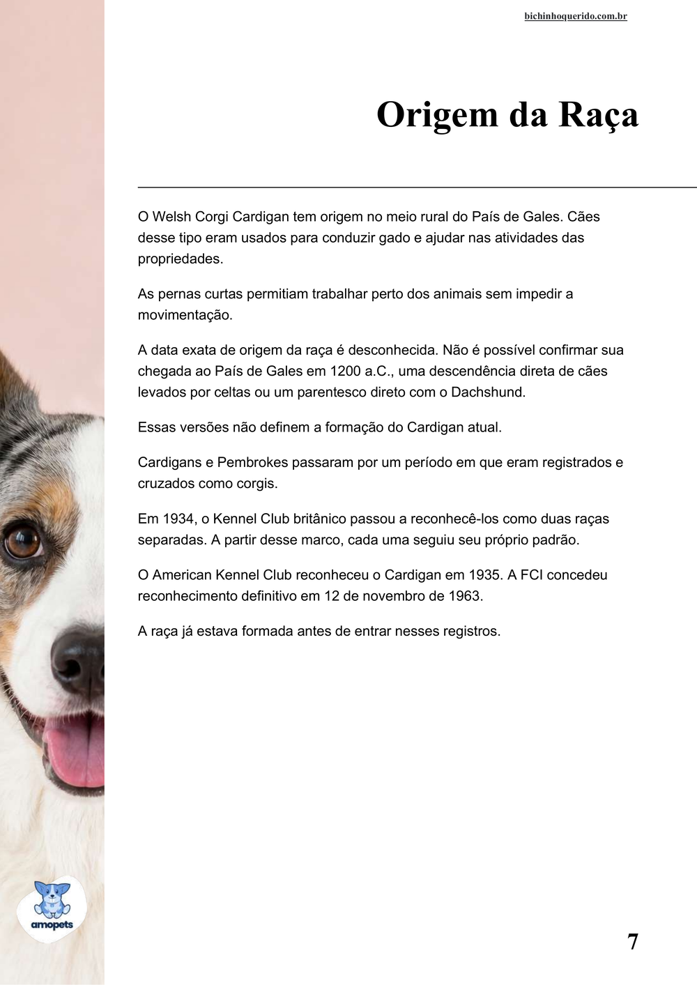 origem da raça no e-book Guia de Como Cuidar do Welsh Corgi Cardigan