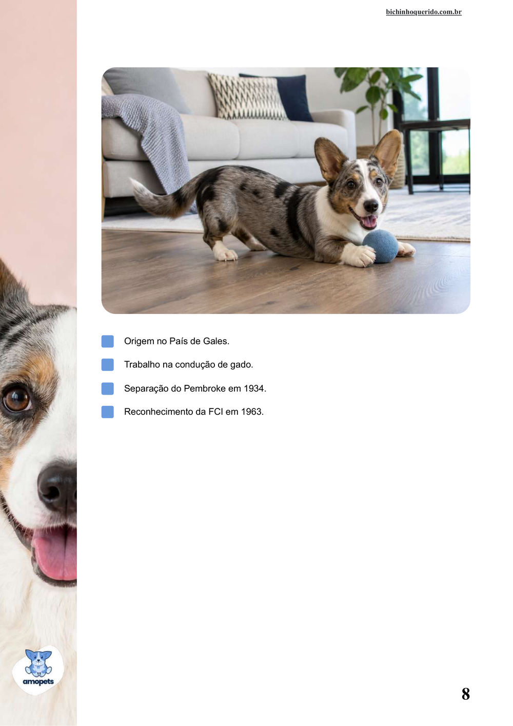 características do Welsh Corgi Cardigan no e-book Guia de Como Cuidar do Welsh Corgi Cardigan