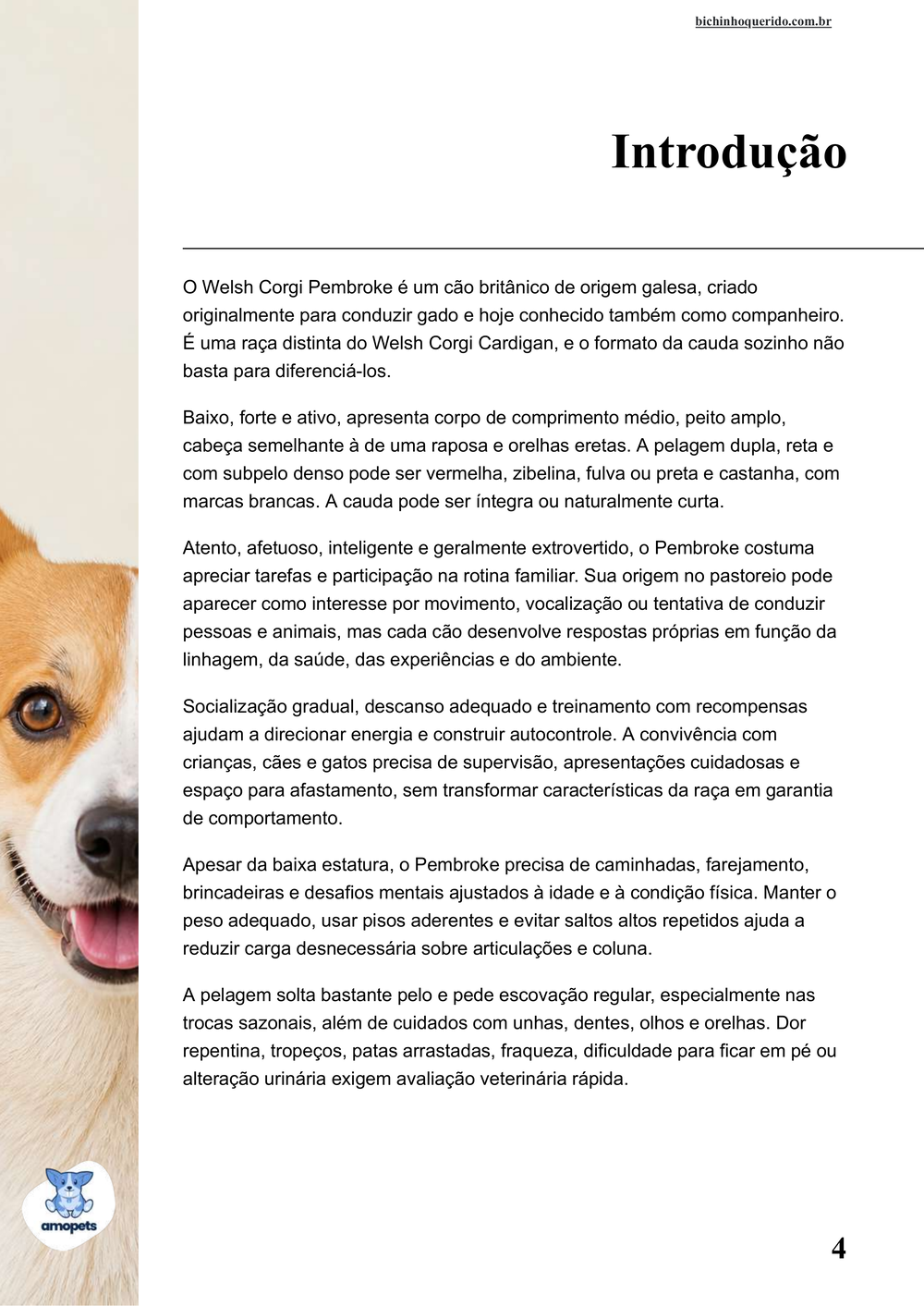 introdução do e-book Guia de Como Cuidar do Welsh Corgi Pembroke