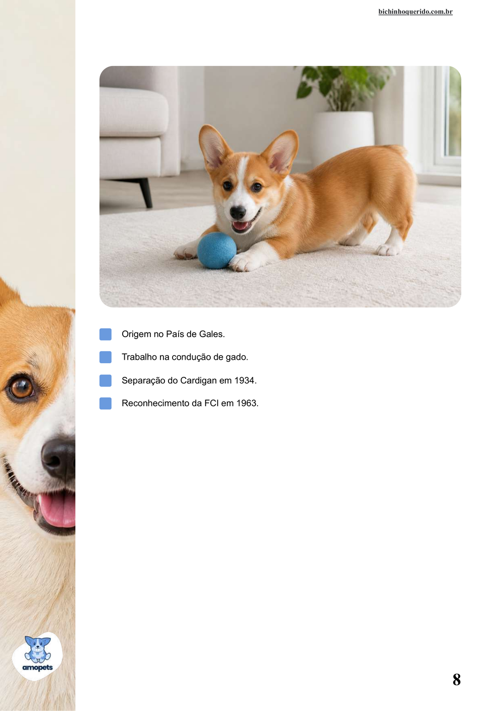 características do Welsh Corgi Pembroke no e-book Guia de Como Cuidar do Welsh Corgi Pembroke