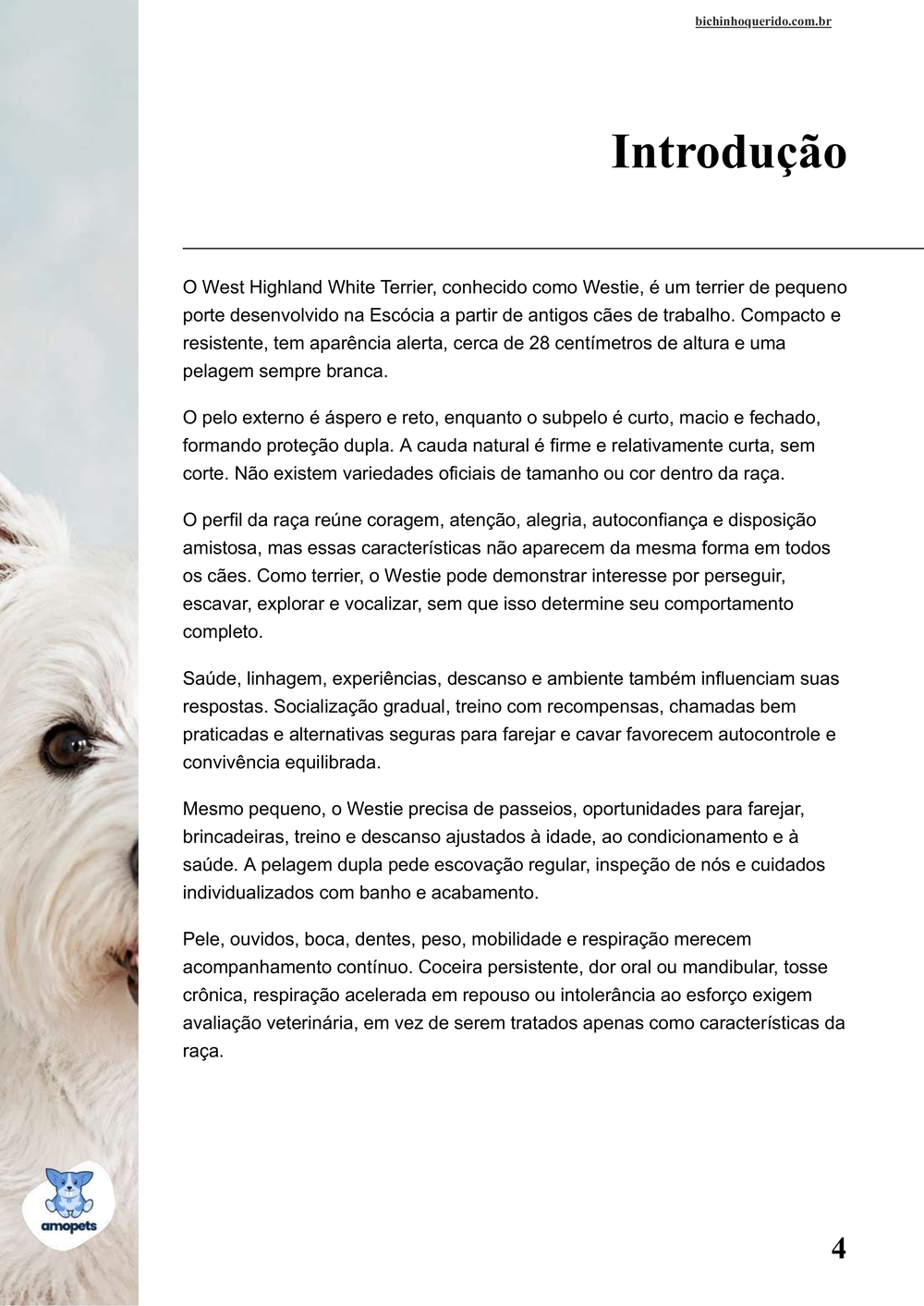 introdução do e-book Guia de Como Cuidar do West Highland White Terrier