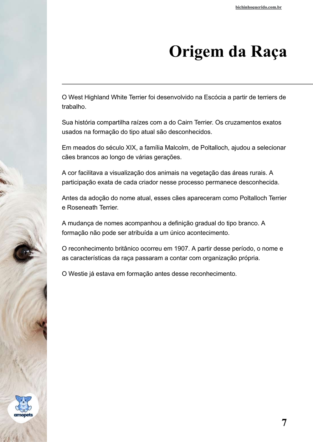 origem da raça no e-book Guia de Como Cuidar do West Highland White Terrier