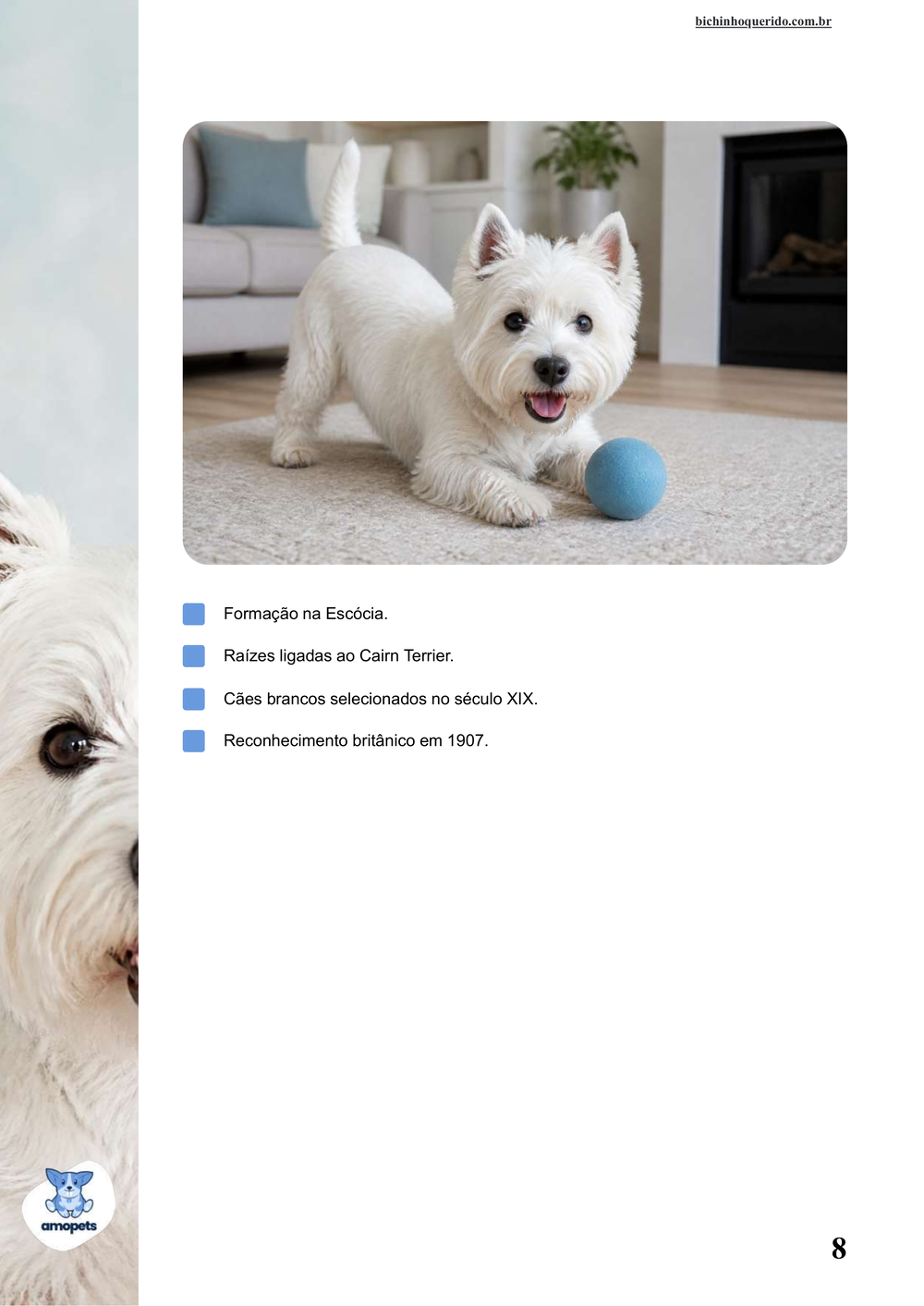 características do West Highland White Terrier no e-book Guia de Como Cuidar do West Highland White Terrier