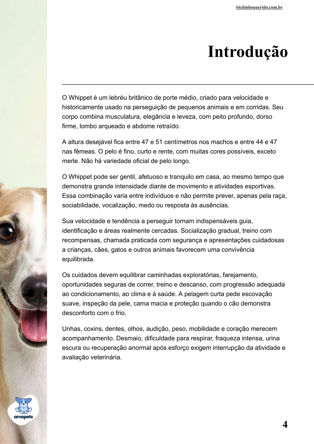 introdução do e-book Guia de Como Cuidar do Whippet