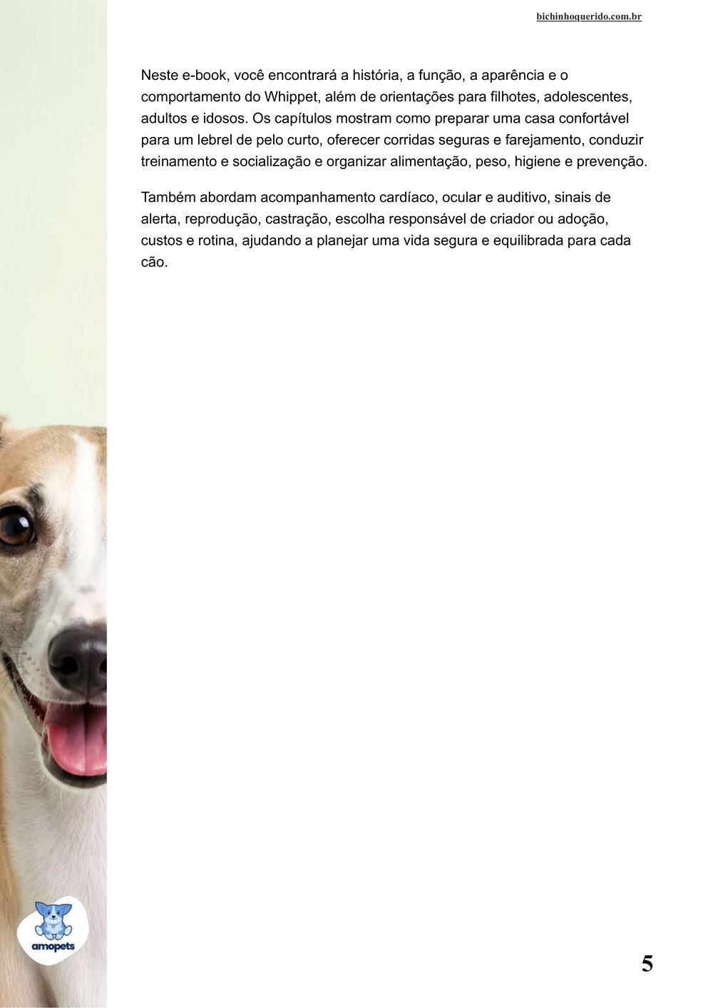 continuação da introdução do e-book Guia de Como Cuidar do Whippet