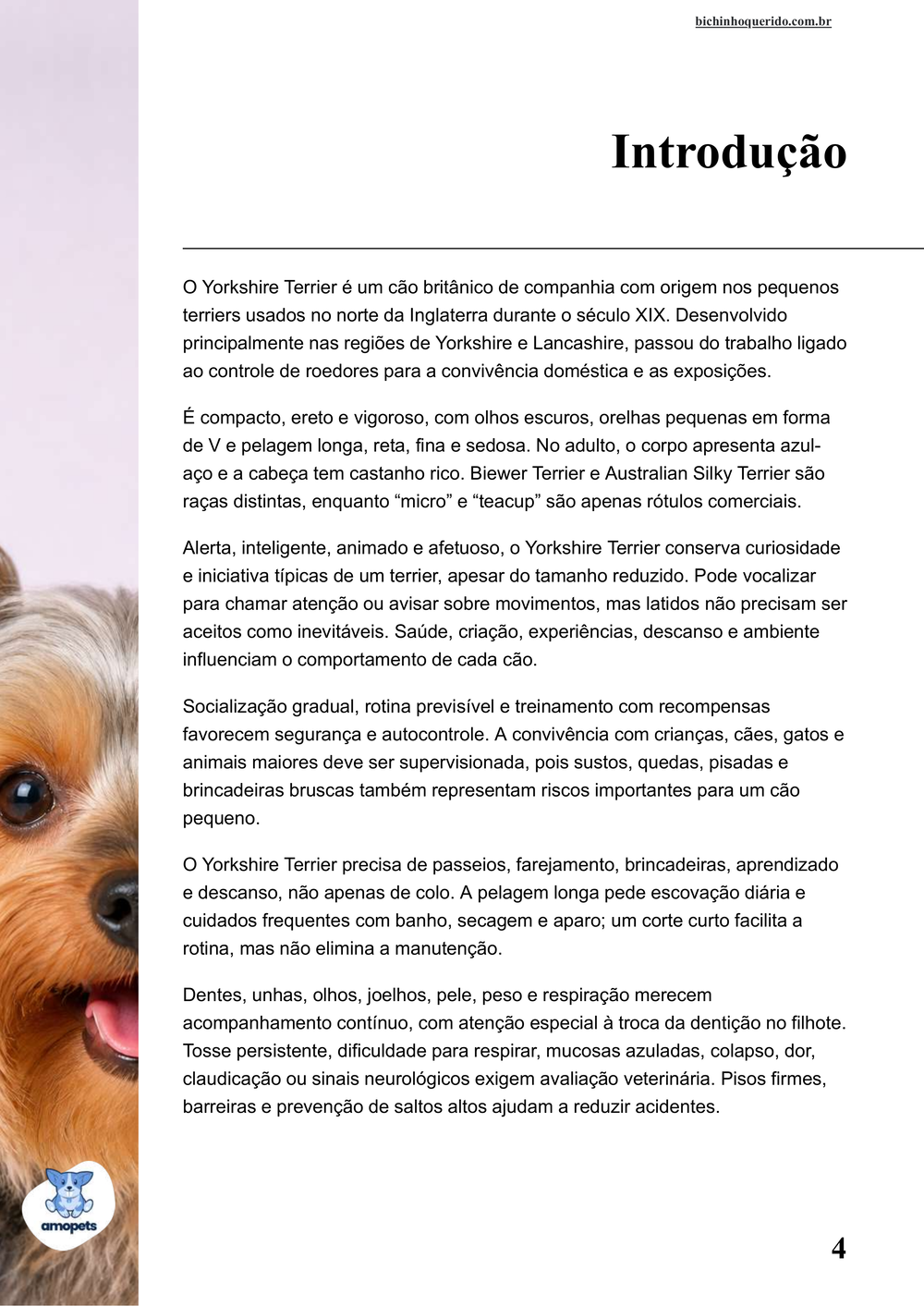 introdução do e-book Guia de Como Cuidar do Yorkshire Terrier