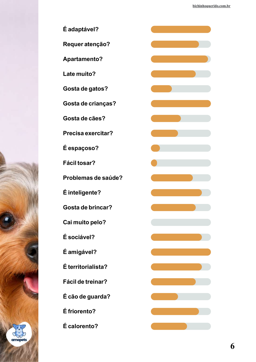 perfil da raça no e-book Guia de Como Cuidar do Yorkshire Terrier