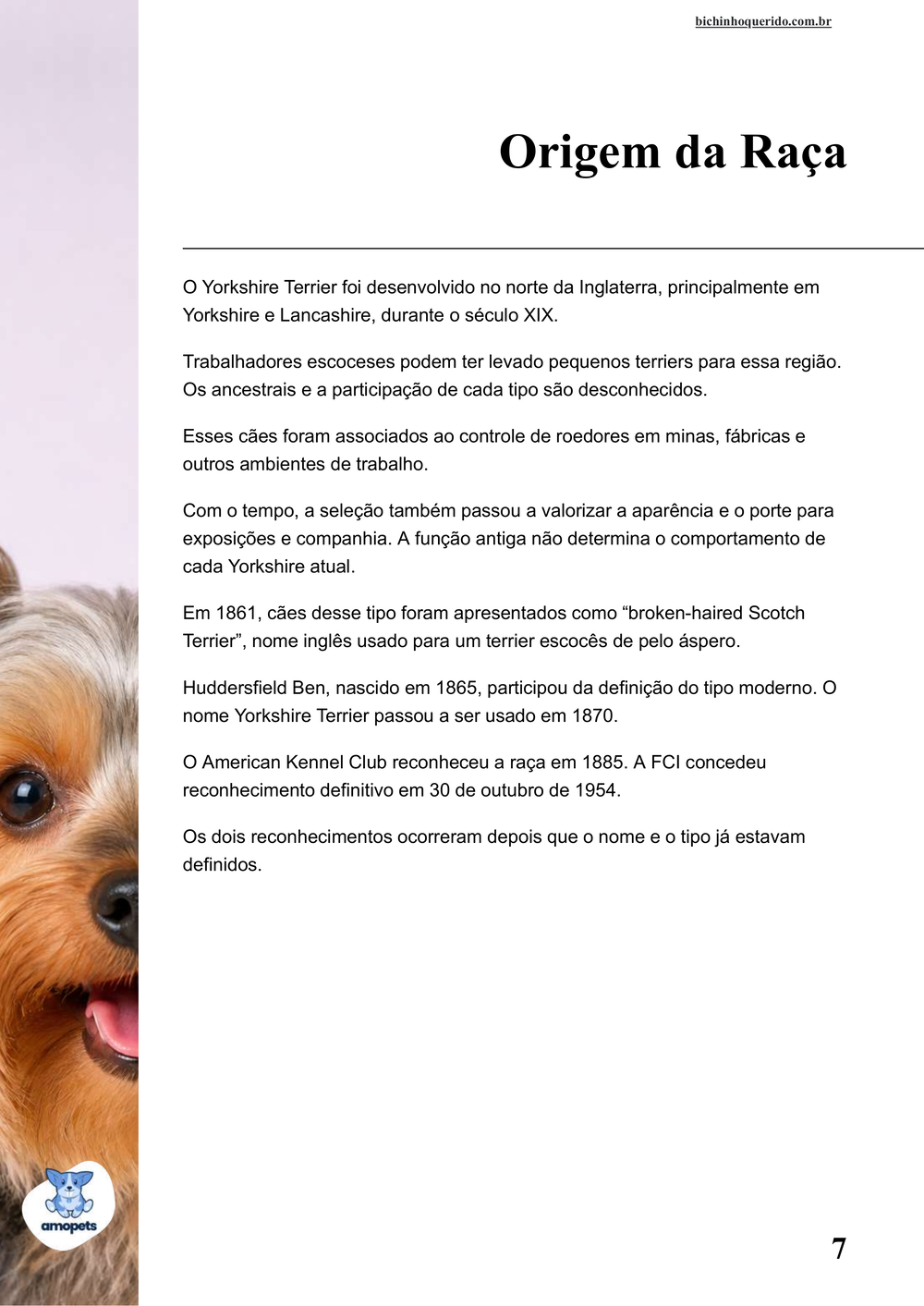 origem da raça no e-book Guia de Como Cuidar do Yorkshire Terrier