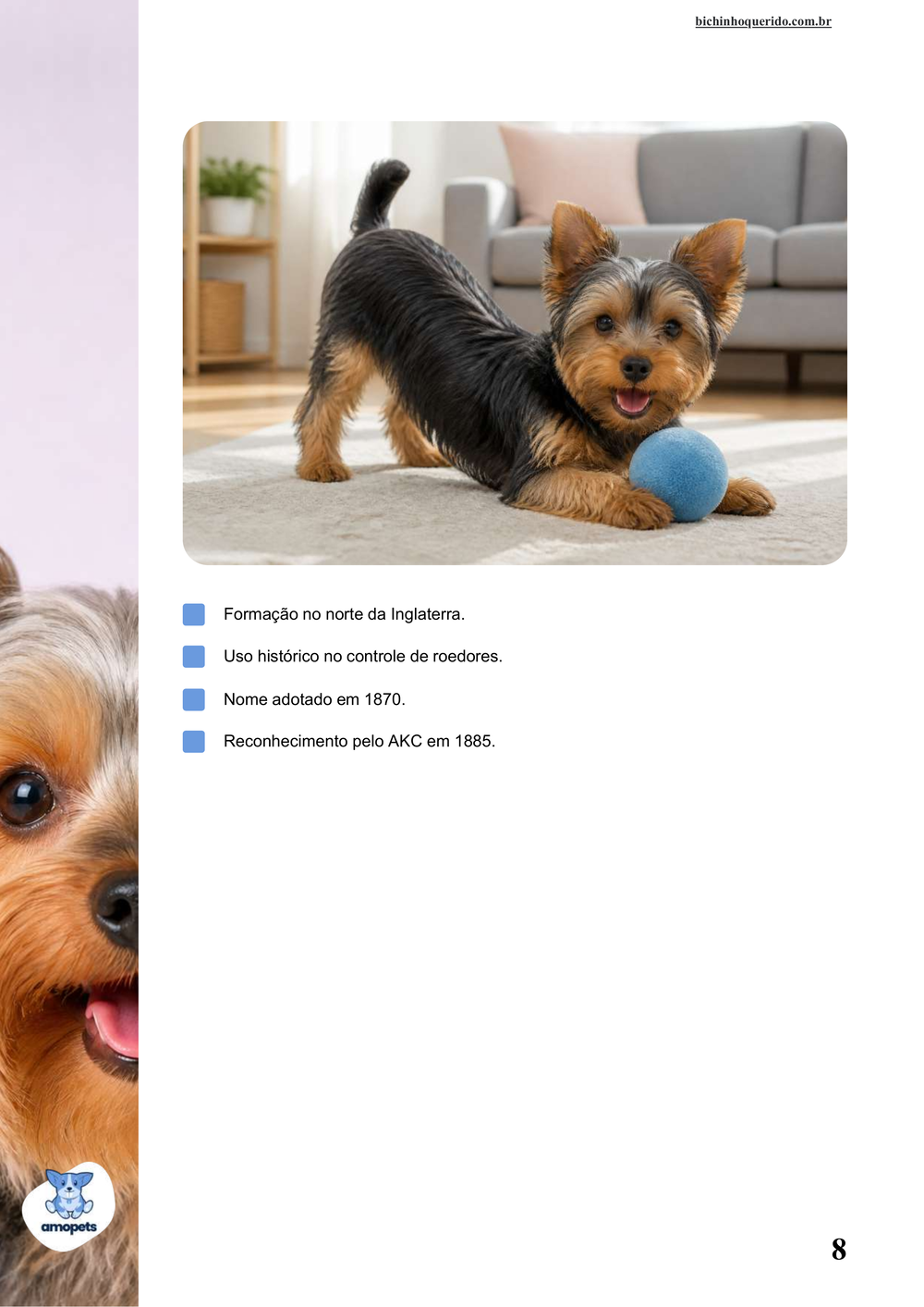 características do Yorkshire Terrier no e-book Guia de Como Cuidar do Yorkshire Terrier