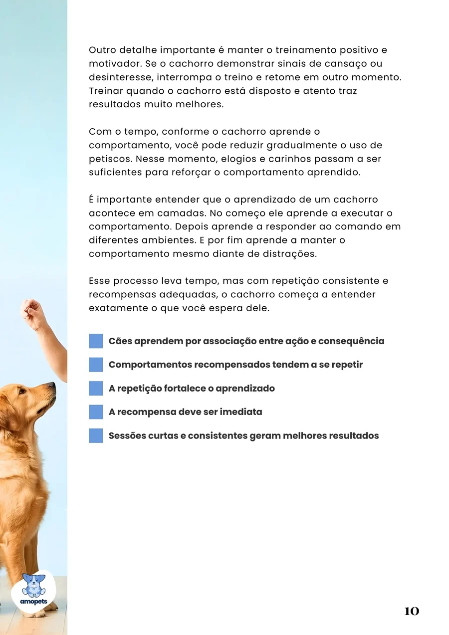página interna do e-book Guia de Como Educar e Adestrar o Seu Cachorro